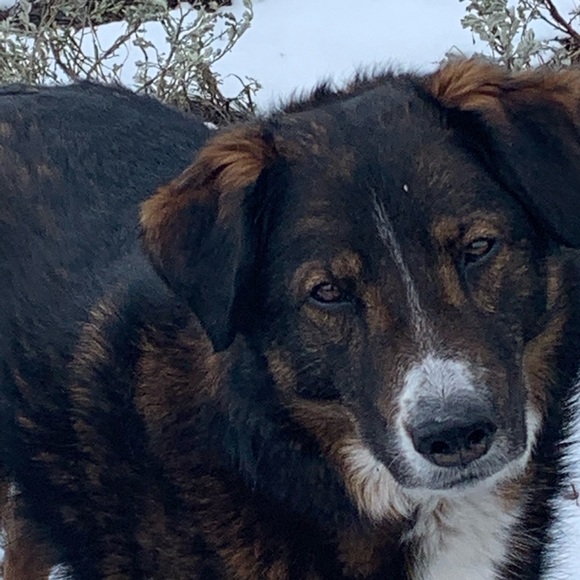 Meet your Posher, Shannon - Picture 6 of 17